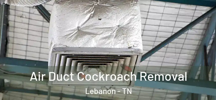  Air Duct Cockroach Removal Lebanon - TN