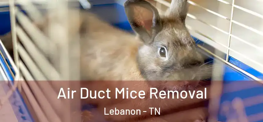Air Duct Mice Removal Lebanon - TN