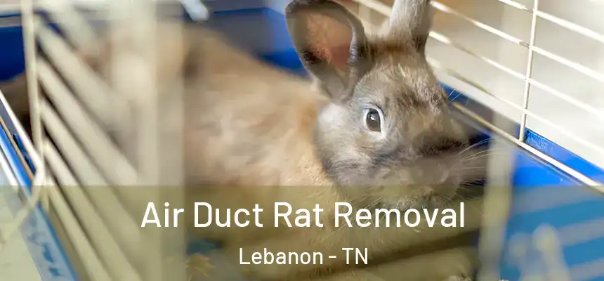  Air Duct Rat Removal Lebanon - TN