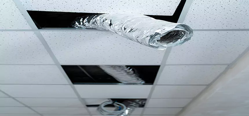 Our Air Duct Pet Hair Removal Services in Lebanon, TN