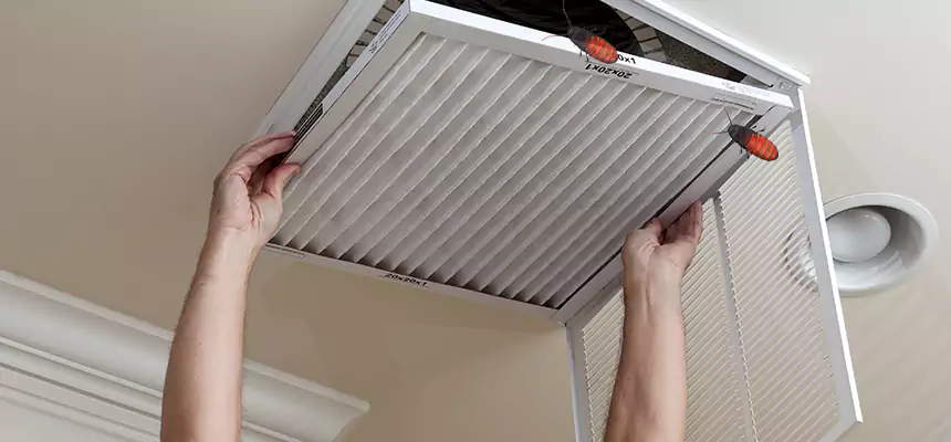 Our Insect Removal from Air Ducts Services in Lebanon, TN