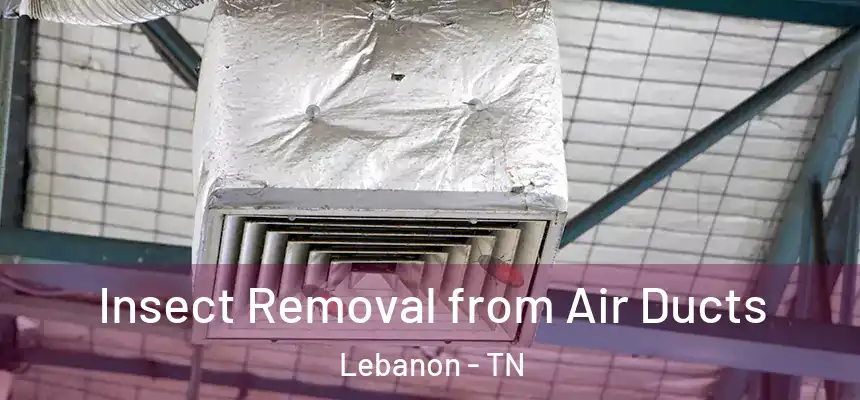  Insect Removal from Air Ducts Lebanon - TN