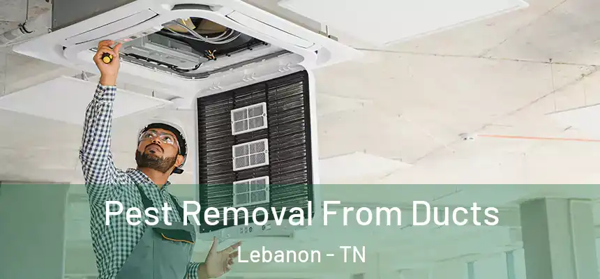  Pest Removal From Ducts Lebanon - TN