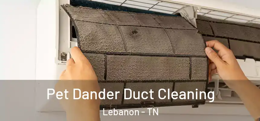  Pet Dander Duct Cleaning Lebanon - TN