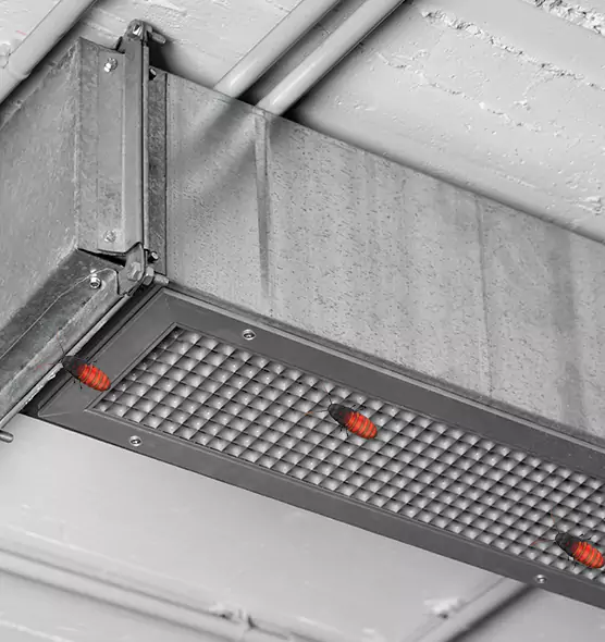 About Air Duct Cockroach Removal in Lebanon, TN