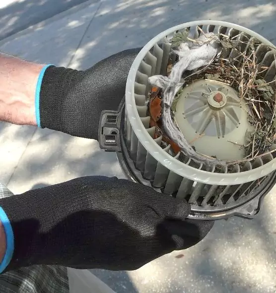 About Air Duct Mice Removal in Lebanon, TN