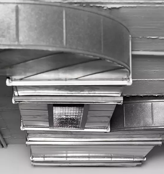 Professional Air Duct Pet Hair Removal in Lebanon, TN